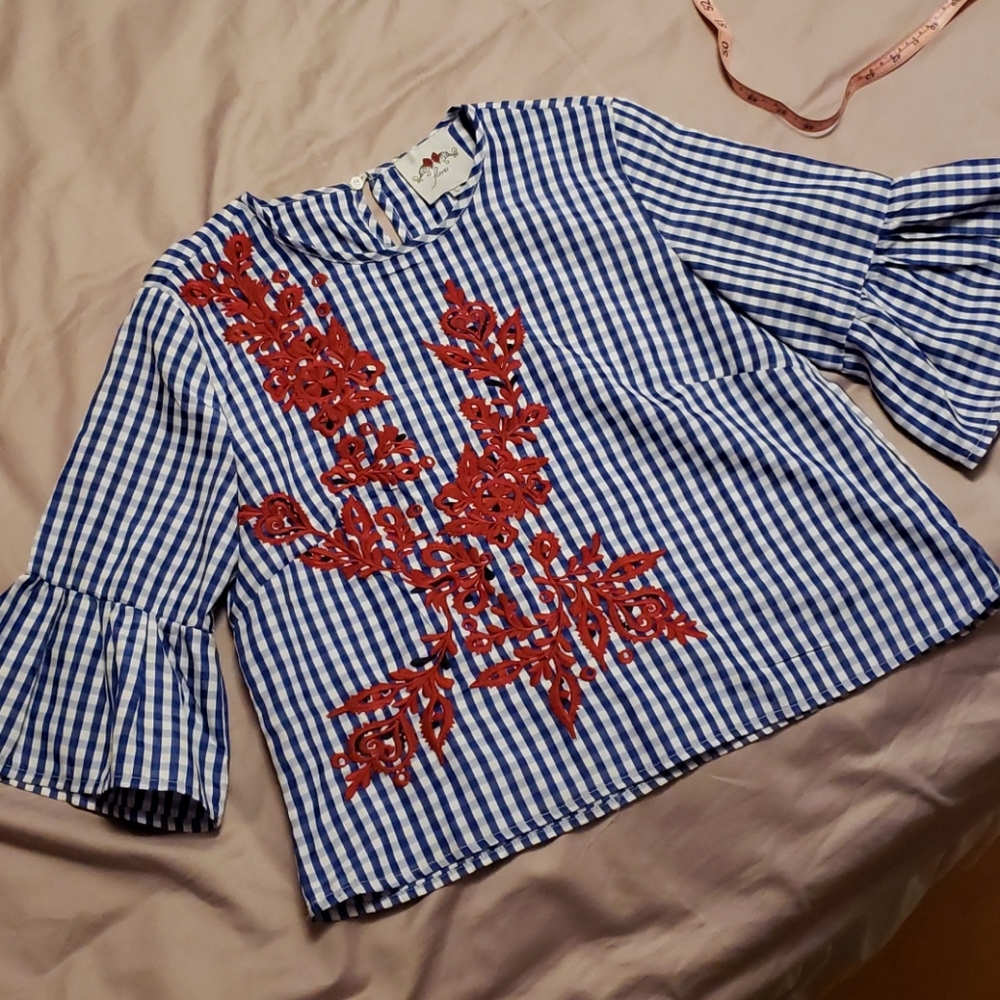 Blue and white plaid top with red embroidery
